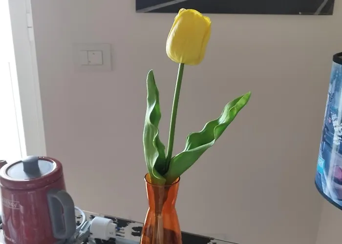 Residenza Piazza Moro 3*